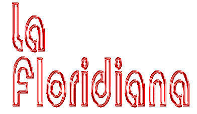 La Floridiana by Will Moriaty